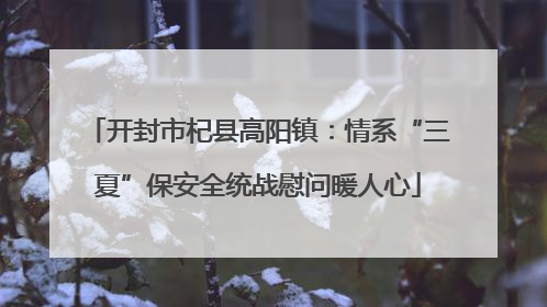 开封市杞县高阳镇：情系“三夏”保安全统战慰问暖人心