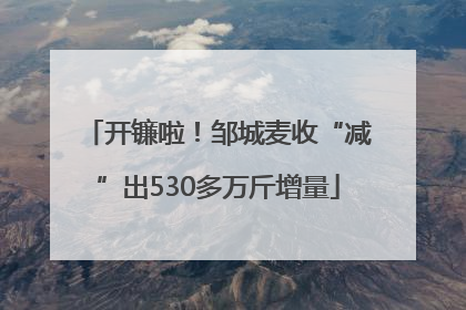 开镰啦！邹城麦收“减”出530多万斤增量