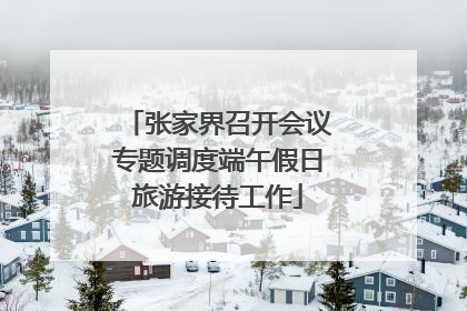 张家界召开会议专题调度端午假日旅游接待工作