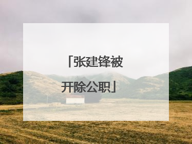 张建锋被开除公职