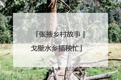 张掖乡村故事｜戈壁水乡插秧忙