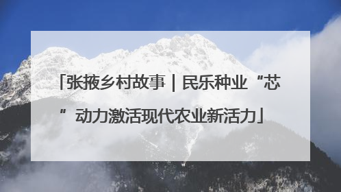 张掖乡村故事｜民乐种业“芯”动力激活现代农业新活力