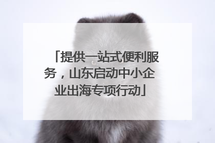 提供一站式便利服务，山东启动中小企业出海专项行动