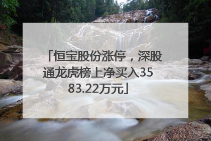 恒宝股份涨停，深股通龙虎榜上净买入3583.22万元