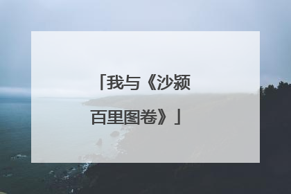 我与《沙颍百里图卷》