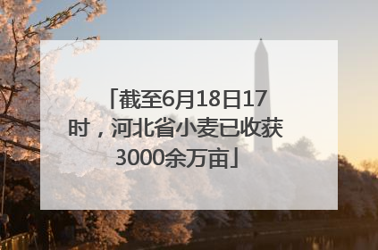 截至6月18日17时，河北省小麦已收获3000余万亩