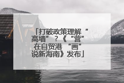 打破政策理解“高墙”？《“营”在自贸港 “画”说新海南》发布