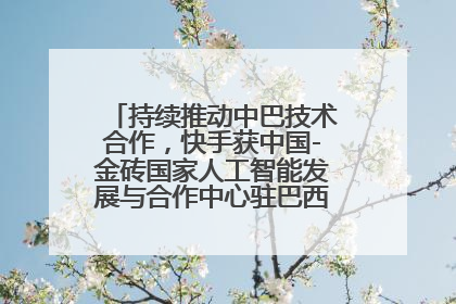持续推动中巴技术合作，快手获中国-金砖国家人工智能发展与合作中心驻巴西成果转化中心授牌