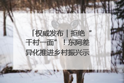 权威发布｜拒绝“千村一面”！东阿差异化推进乡村振兴示范片区建设