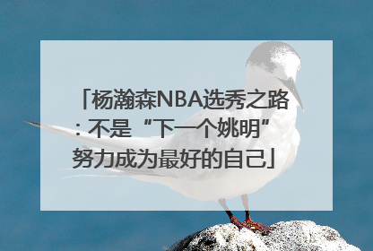 杨瀚森NBA选秀之路：不是“下一个姚明” 努力成为最好的自己