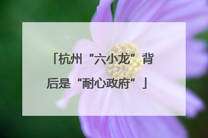 杭州“六小龙”背后是“耐心政府”