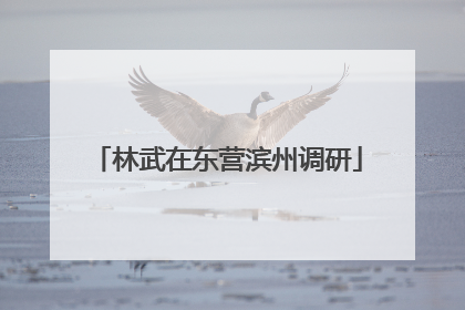 林武在东营滨州调研