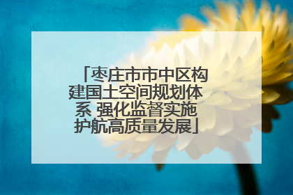 枣庄市市中区构建国土空间规划体系 强化监督实施护航高质量发展