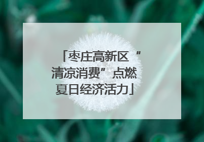 枣庄高新区“清凉消费”点燃夏日经济活力