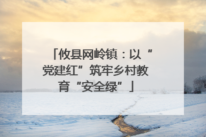 攸县网岭镇：以“党建红”筑牢乡村教育“安全绿”