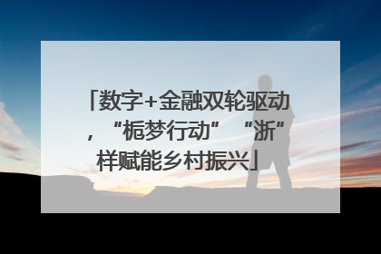 数字+金融双轮驱动，“栀梦行动”“浙”样赋能乡村振兴