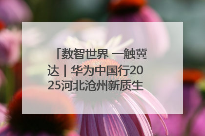 数智世界 一触冀达｜华为中国行2025河北沧州新质生产力峰会成功举办