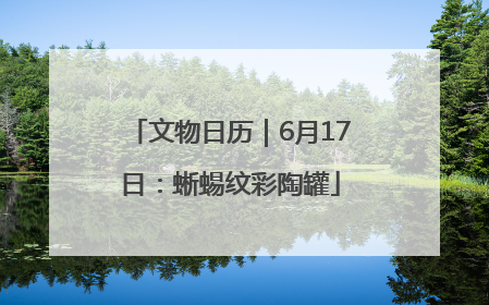 文物日历｜6月17日：蜥蜴纹彩陶罐