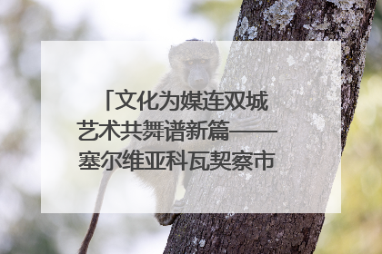 文化为媒连双城 艺术共舞谱新篇——塞尔维亚科瓦契察市代表团访问日照
