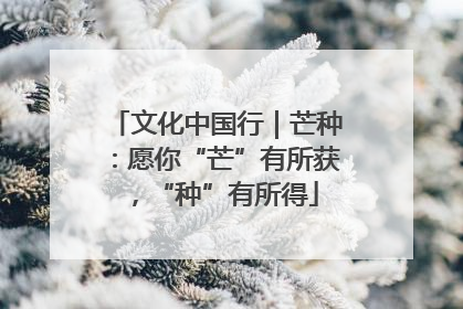 文化中国行｜芒种：愿你“芒”有所获，“种”有所得