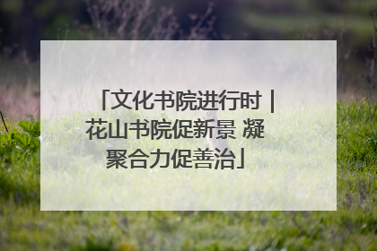 文化书院进行时｜花山书院促新景 凝聚合力促善治