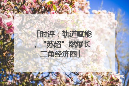 时评：轨道赋能，“苏超”燃爆长三角经济圈