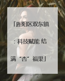 旌阳区双东镇：科技赋能 结满“杏”福果