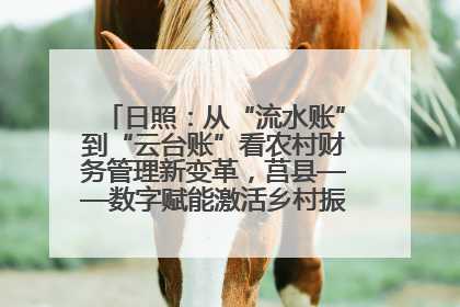 日照：从“流水账”到“云台账”看农村财务管理新变革，莒县——数字赋能激活乡村振兴“一池春水”