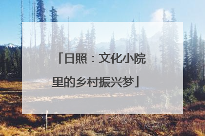 日照：文化小院里的乡村振兴梦