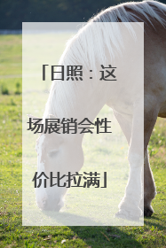 日照：这场展销会性价比拉满