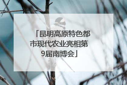 昆明高原特色都市现代农业亮相第9届南博会