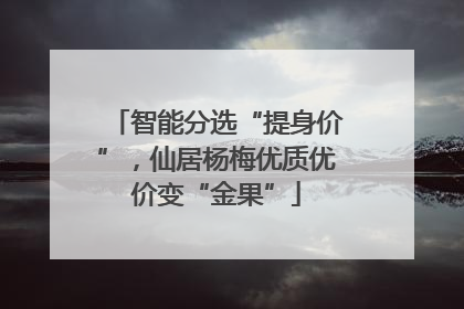 智能分选“提身价”，仙居杨梅优质优价变“金果”
