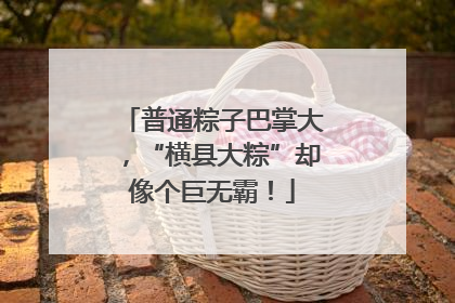 普通粽子巴掌大，“横县大粽”却像个巨无霸！