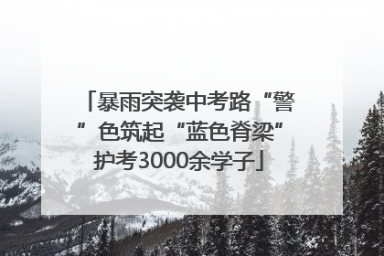 暴雨突袭中考路“警”色筑起“蓝色脊梁”护考3000余学子