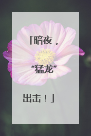 暗夜，“猛龙”出击！