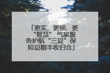 更实、更细、更“智慧” 气象服务护航“三夏”保障夏粮丰收归仓
