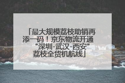 最大规模荔枝助销再添一码！京东物流开通“深圳-武汉-西安” 荔枝全货机航线