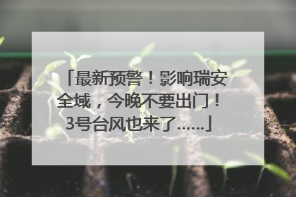 最新预警！影响瑞安全域，今晚不要出门！3号台风也来了……