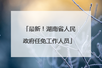 最新！湖南省人民政府任免工作人员
