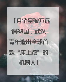 月销量破万远销38国，武汉青年造出全球首款“床上跑”的机器人