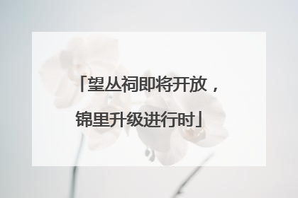 望丛祠即将开放，锦里升级进行时