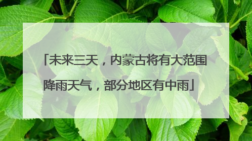 未来三天，内蒙古将有大范围降雨天气，部分地区有中雨