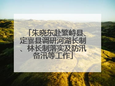 朱晓东赴繁峙县、定襄县调研河湖长制、林长制落实及防汛备汛等工作