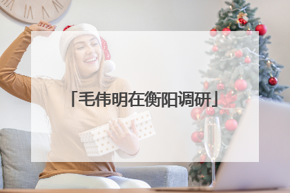 毛伟明在衡阳调研
