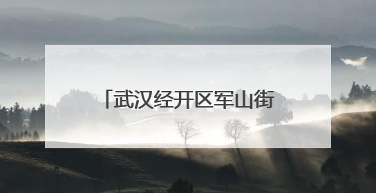 武汉经开区军山街道2025年“安全生产月”活动启动