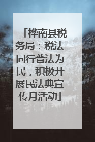 桦南县税务局：税法同行普法为民，积极开展民法典宣传月活动