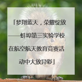 梦翔蓝天，荣耀绽放——蚌埠第三实验学校在航空航天教育竞赛活动中大放异彩