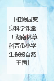 植物园变身科学课堂！湖南林草科普带小学生探秘自然王国