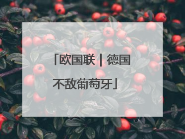 欧国联｜德国不敌葡萄牙