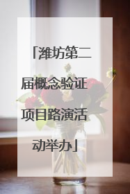 潍坊第二届概念验证项目路演活动举办